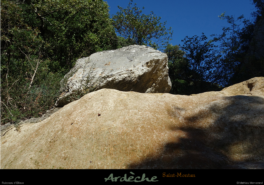 20211013_ellieux08