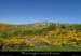 20150518_serreestelle3