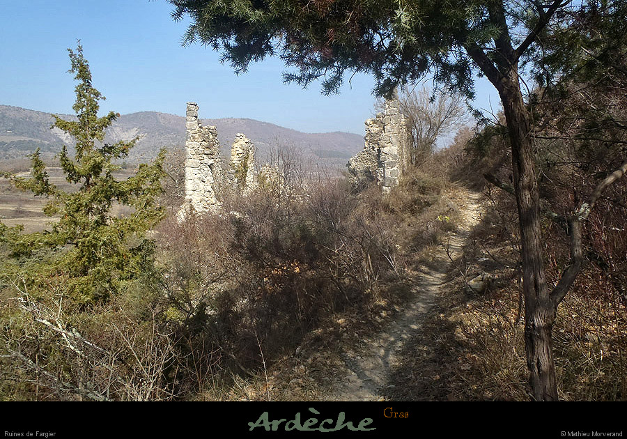 20130303_gras_ruinedefargier