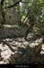 20120622_grospierres_ruinesvillagechastelas09