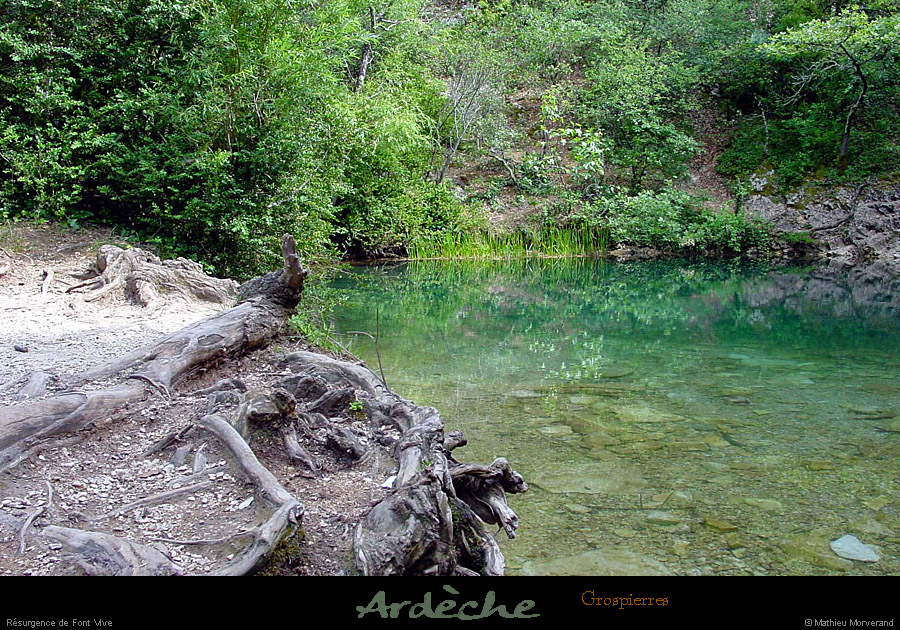 20010605_resurgencedefont_vive_02