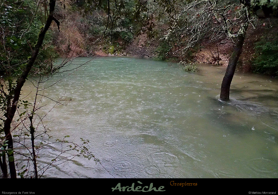 20140119_fontvive_15h49