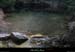 20130922_grospierres_fontvive03