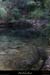 20130922_grospierres_fontvive09
