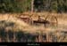 20050101_labastide_vieiloutilagricole_2
