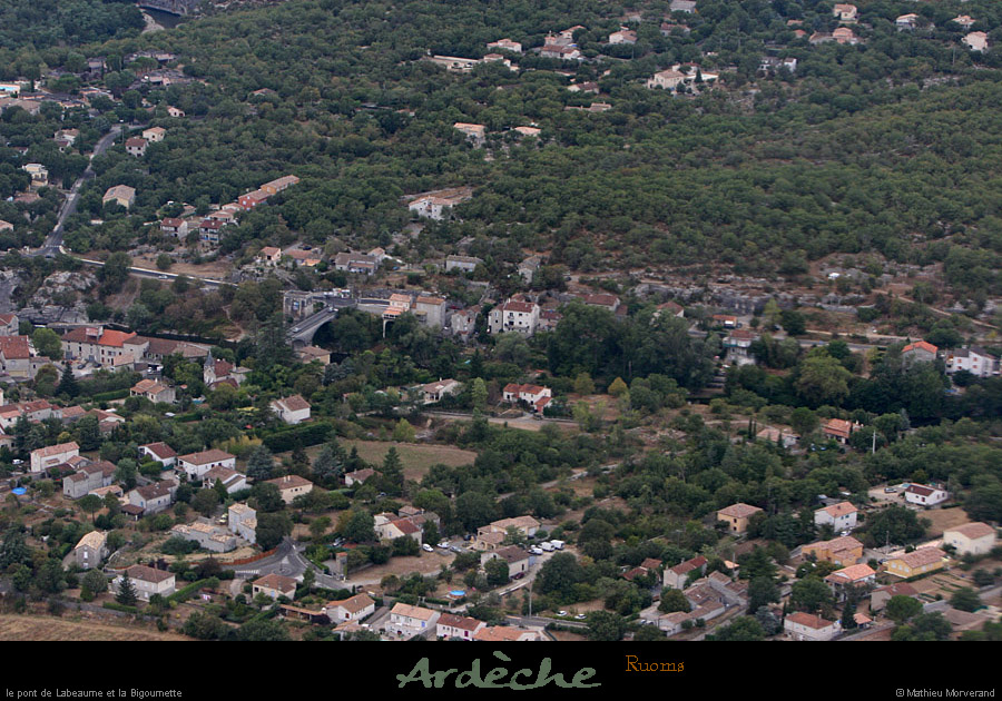 20100815_bigournette1