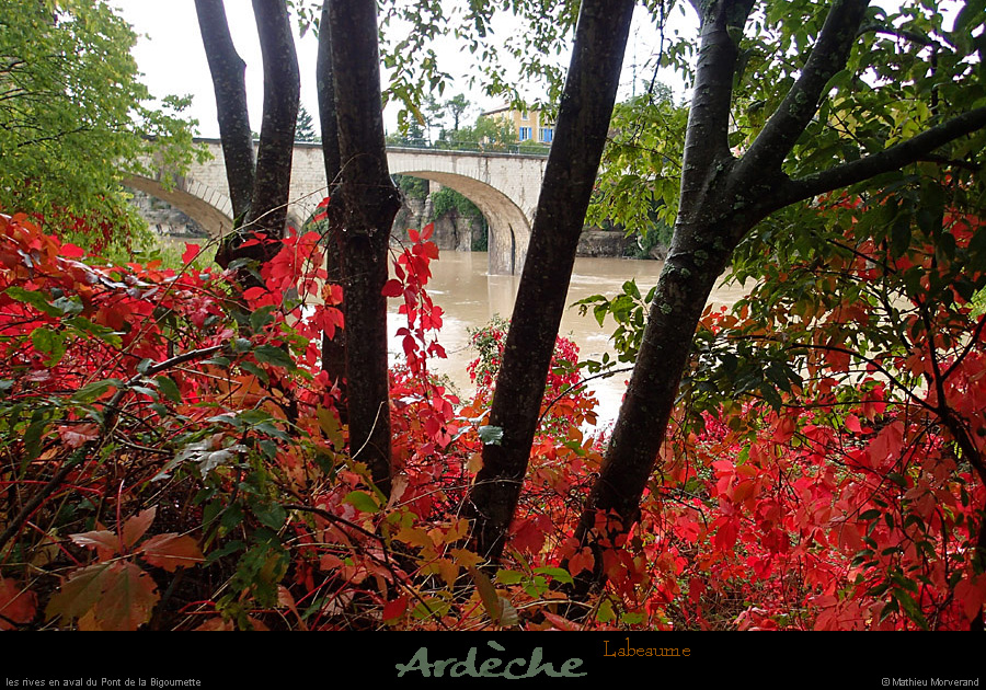 20131020_avptbigournetterd2