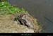 20120725_labeaume_bigournette_erosionrive