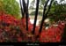20131020_avptbigournetterd1