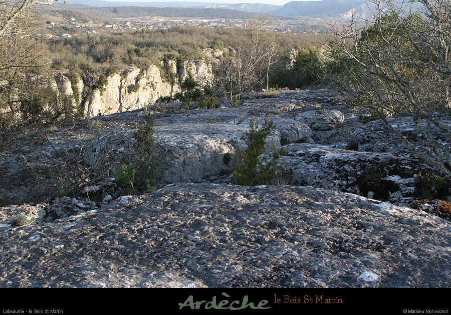 20090315_boisstmartin_htfalaises1