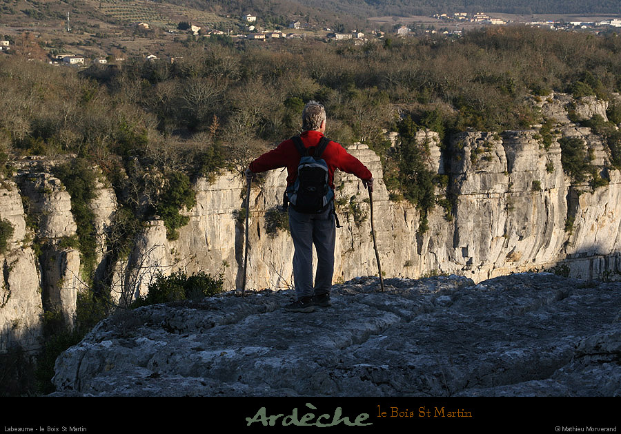 20090315_boisstmartin_htfalaises2