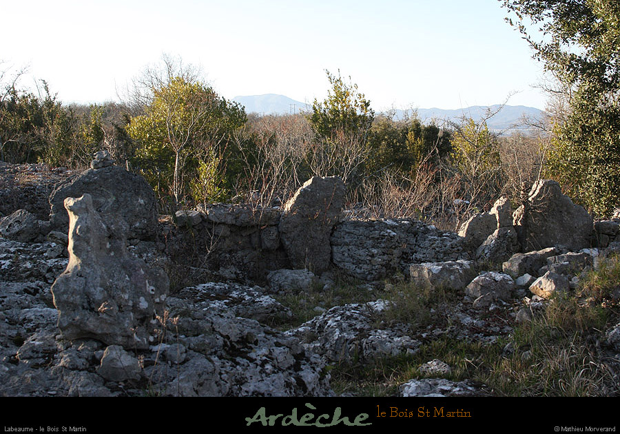 20090315_boisstmartin_sentier01