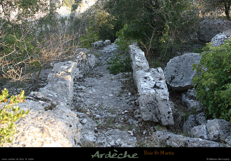 20090315_labeaume_boisstmartin_sentierconstruit