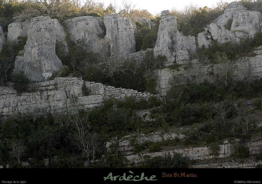 20090315_passageboisstmartin