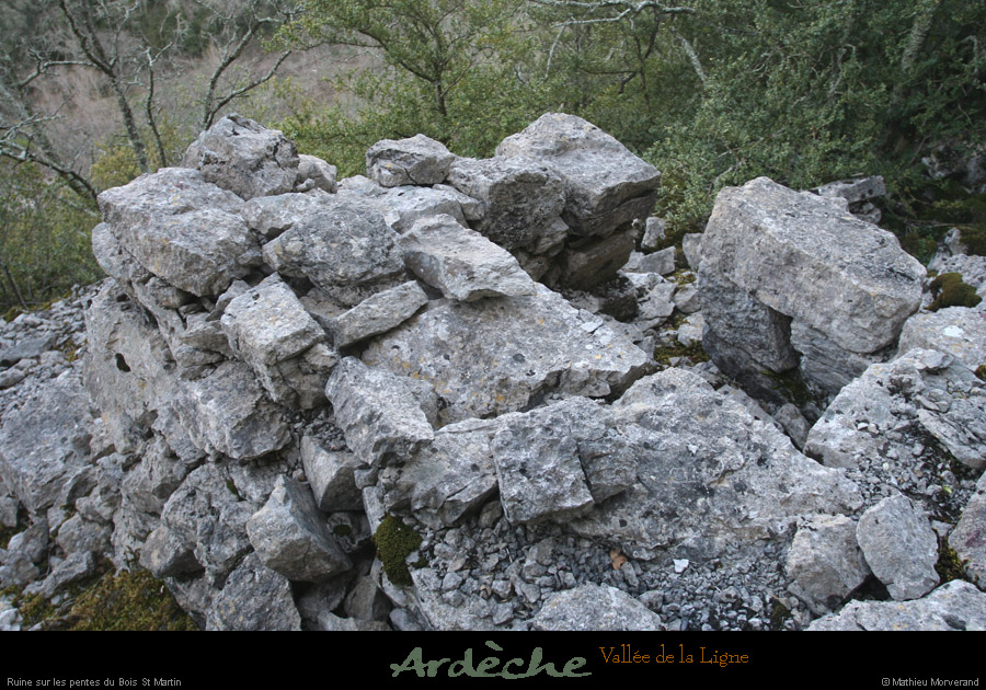 20090315_passageboisstmartin_ruine