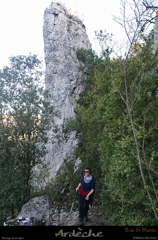 20090315_passageboisstmartin_sentier10