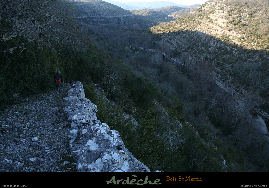 20090315_passageboisstmartin_sentier7