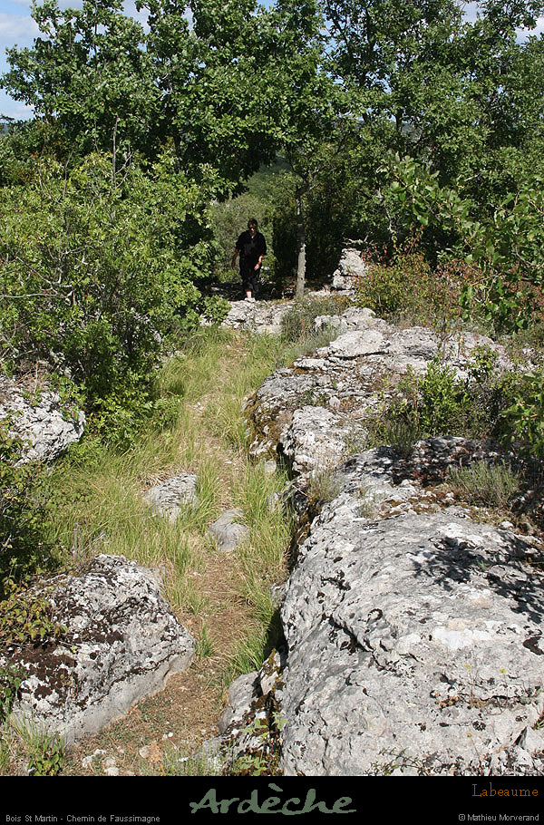 20090718_boisstmartin_cheminfaussimagne
