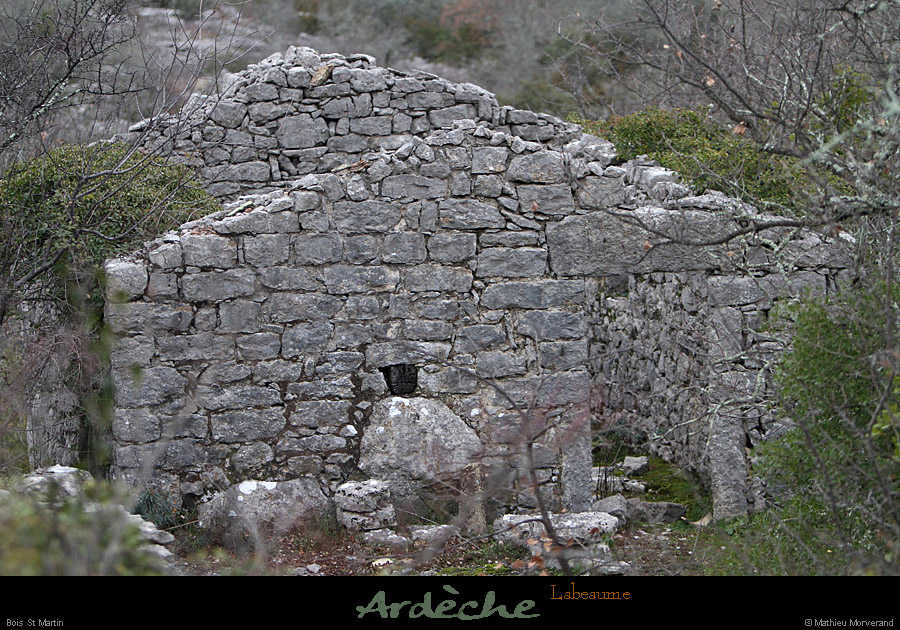 20130127_labeaume_boisstmartin_ruine