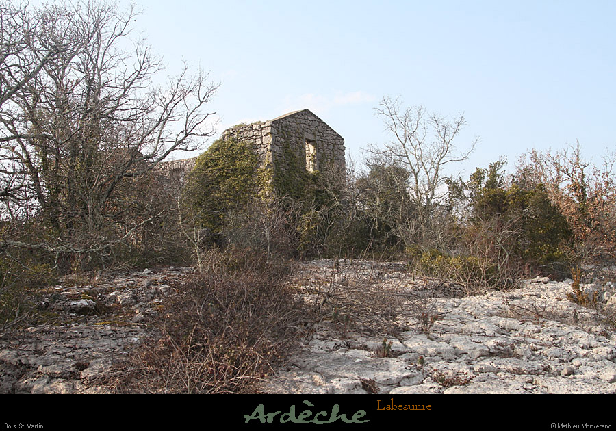 20130223_labeaume_boisstmartin_ruine3