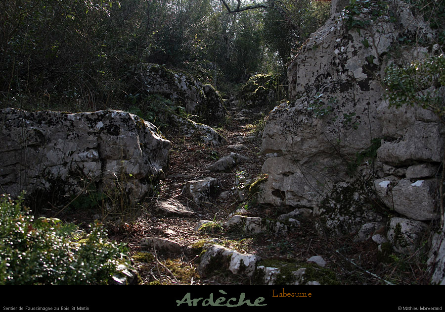 20130223_labeaume_boisstmartin_sentier1