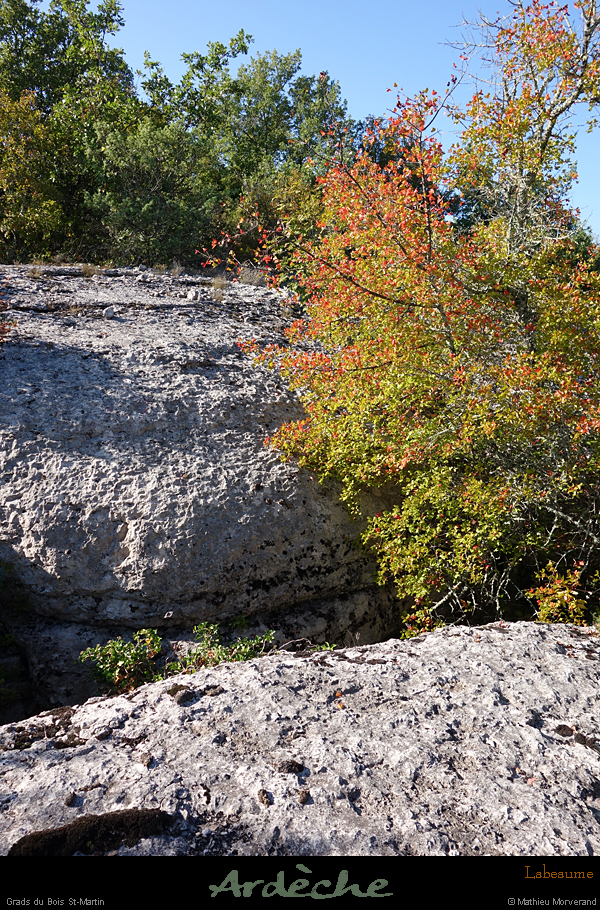 20181021_gr26
