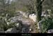 20070317_labeaume_grasdeboisstmartin1
