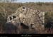 20090315_boisstmartin_ruine