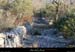 20090315_boisstmartin_sentier02