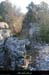 20090315_boisstmartin_sentier04