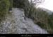 20090315_passageboisstmartin_sentier1