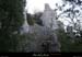 20090315_passageboisstmartin_sentier8