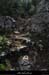 20130223_labeaume_boisstmartin_sentier2
