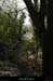 20130416_labeaume_boisstmartin_sentierfaussimagne