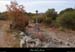 20170903_tintard1