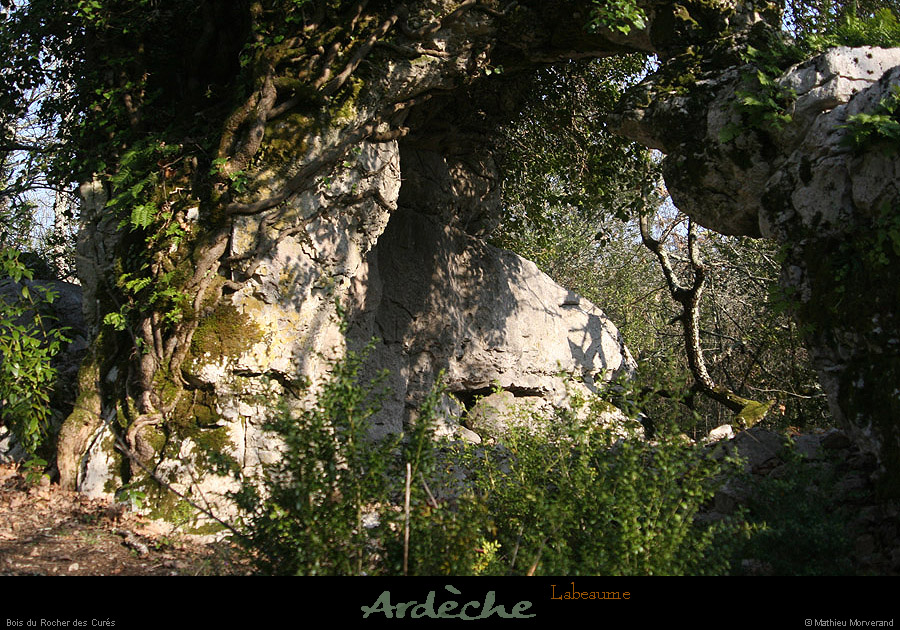 20130331_labeaume_boisdurocherdescures_arche1