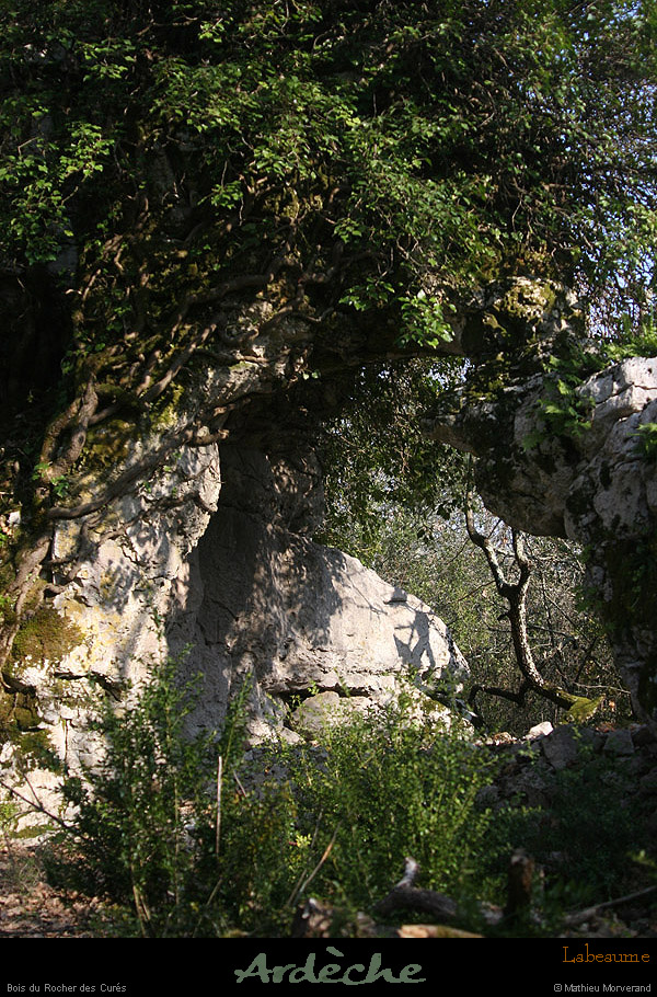 20130331_labeaume_boisdurocherdescures_arche2