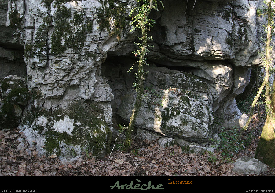 20130331_labeaume_chapias_bois_chaos03
