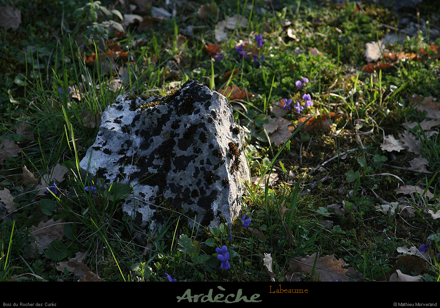 20130331_labeaume_chapias_rochercures_pre07