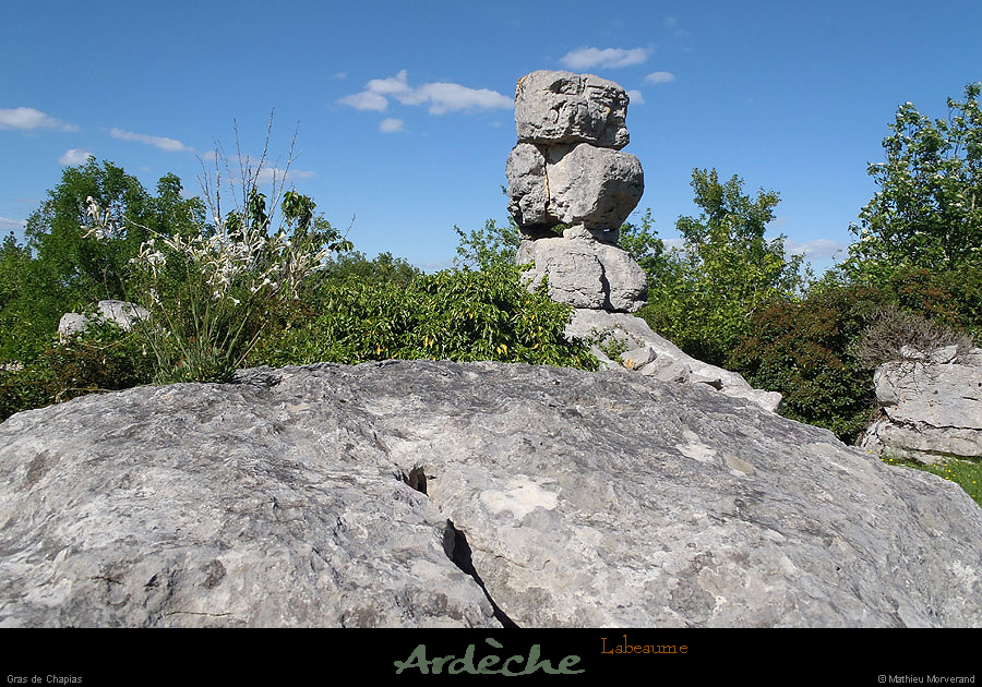 20130510_labeaume_grassschapias2