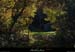 20151101_tourchapiaspaysage2