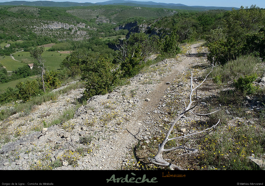 20130510_gorgesligne_cornichemirabelle1