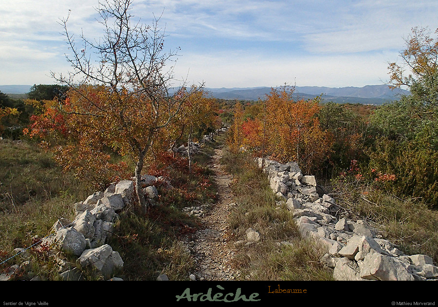 20151025_labeaume_vignevieille
