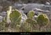 20130127_labeaume_boisstmartin_pentesdevignevieille1
