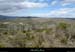 20130409_labeaume_grasdevignevieille4