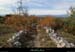 20151025_labeaume_vignevieille