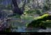 20010210_gourdelasompe_riviere_3
