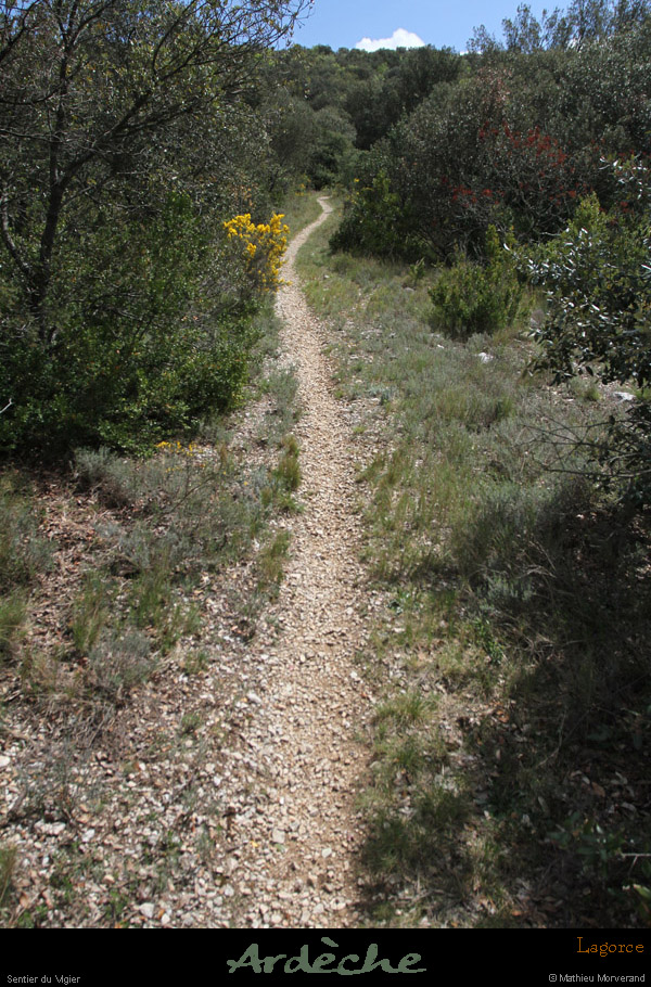 20120418_lagorce_sentierdevigierversdarboussieres