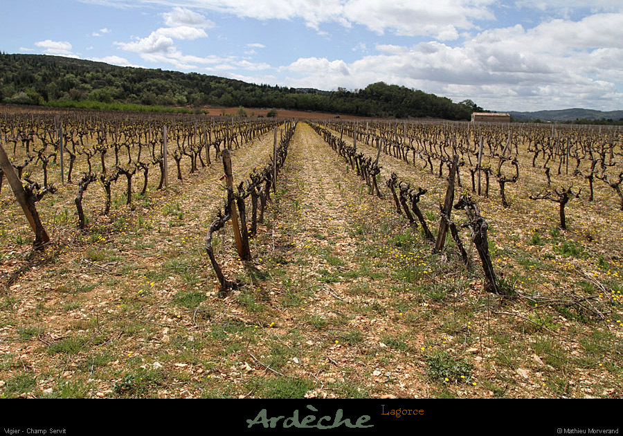 20120418_lagorce_vigier_champservit2