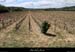 20120418_lagorce_vigier_champservit1